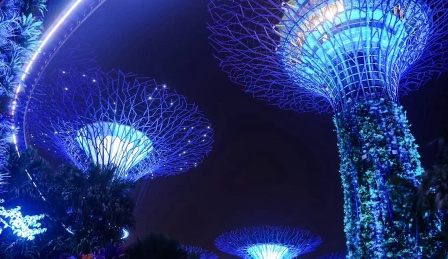 樹(shù)木亮化設(shè)計(jì)融入場(chǎng)景化有助于形成品牌特色！