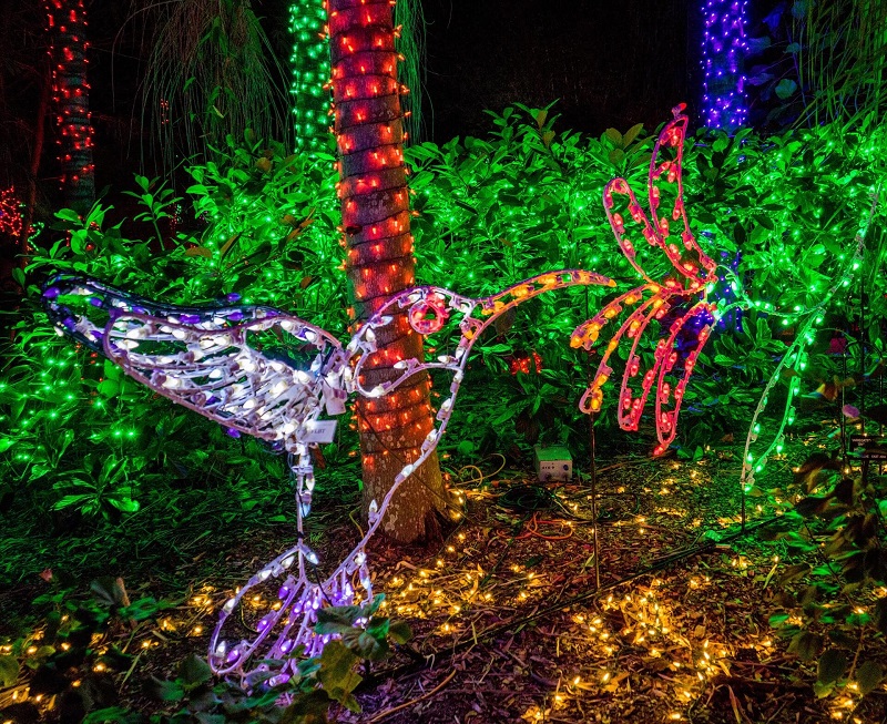 園林樹木亮化 園林樹木亮化