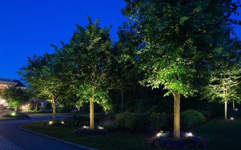 照樹燈實景效果圖.jpg 照樹燈實景效果圖.jpg