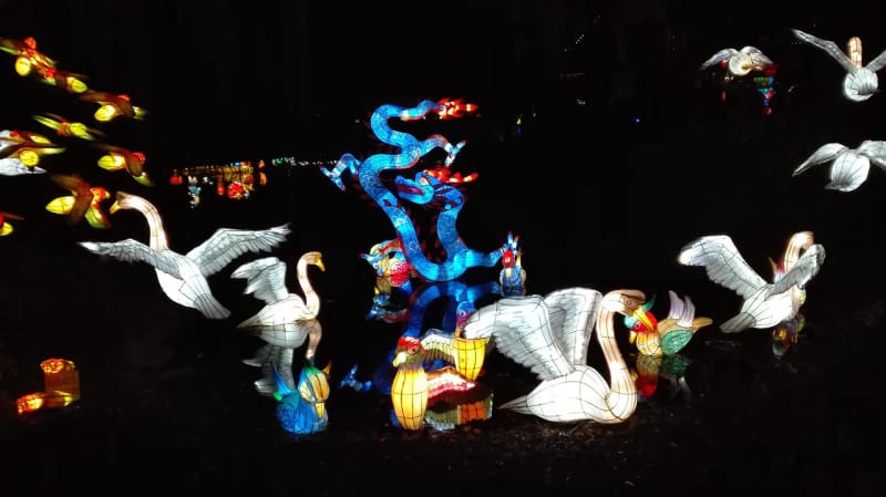 主題公園燈光亮化.jpg 主題公園燈光亮化.jpg